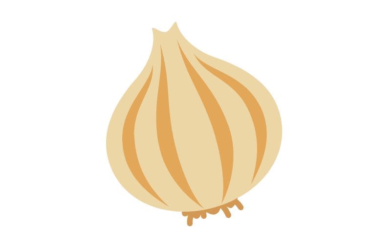 玉ねぎ